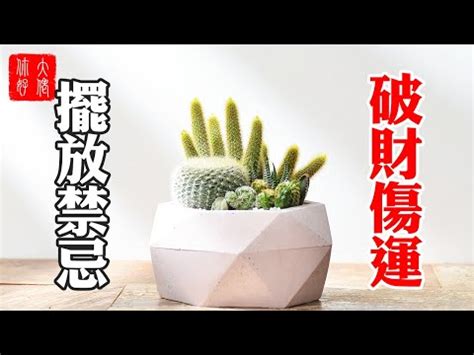 仙人掌放家裡